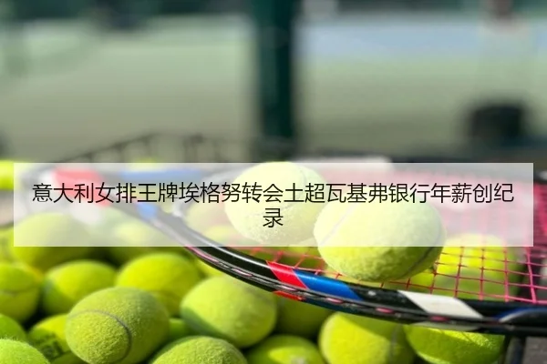 意大利女排王牌埃格努转会土超瓦基弗银行年薪创纪录